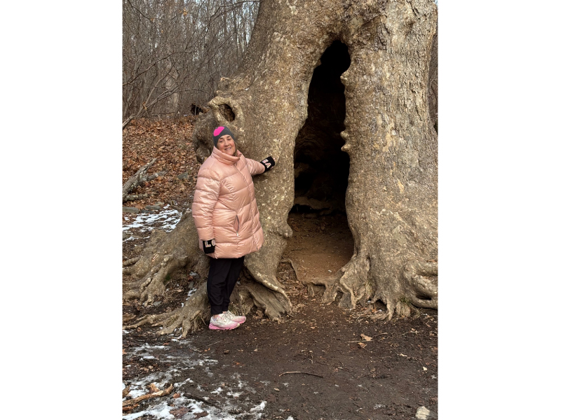 Amy McGahran & the Pooh Tree